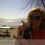 Dog walker - Make every day a beach day for your dog.
