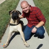 LOVE your PETS and your BUDGET? Dog Walking & Pet Boarding HERE!