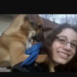 Edwardsville IL Animal Walker/Sitter Looking For Job Opportunities. Open availability!