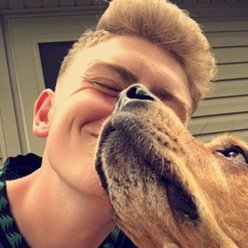 Pet Care Provider Alan S's Profile Picture