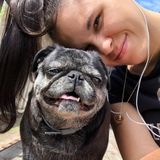 Pet Sitting Offered