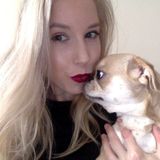 Loving pet sitter available