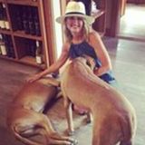Professional and Experienced Animal Caregiver