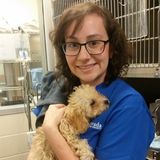 Experienced and caring petsitting
