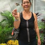 For Hire: Aunty Diane: Wonderful Domestic in Mililani Town, Hawaii