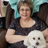 Capable Pet Sitter in Harrisburg. Capable cat and small animal sitter. I can watch dogs that only require short walks.
