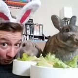 Experienced Rabbit Caretaker for Hire