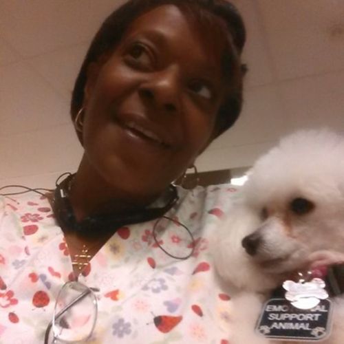 Housekeeper Provider Sharon M's Profile Picture