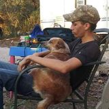 Polite Pet Carer