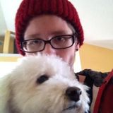 Pet Sitting, walking, and feeding offering in Los Angeles.