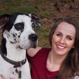 My Great Dane trained me well