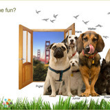 Dependable and loving dog walker and pet sitter