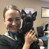 Pet care provider