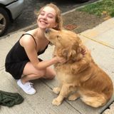 Available 24/7 to give your pet the care they deserve