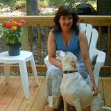 All Gods creatures pet services