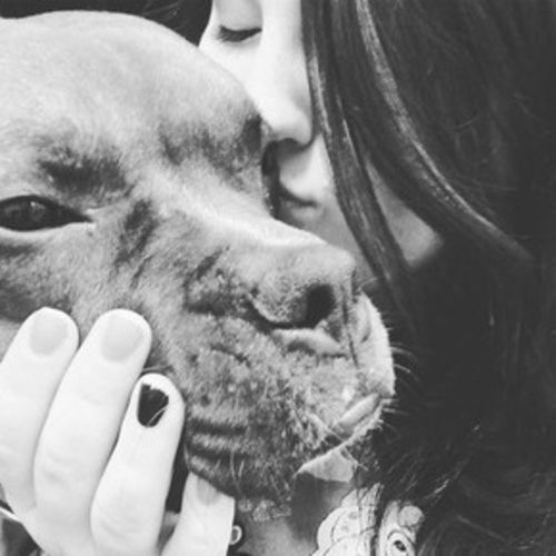 Pet Care Provider Lauren S's Profile Picture