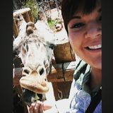 Trustworthy animal loving sitter in Crest Hill