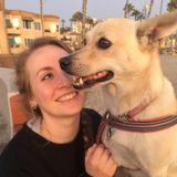 Hard working animal lover in Vista!