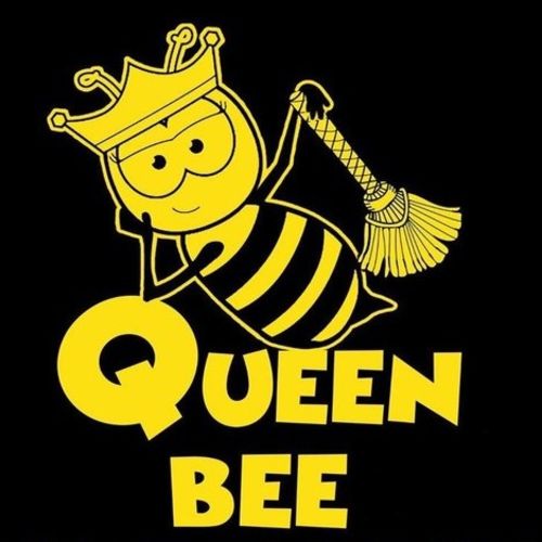 Housekeeper Provider Queen Bee Cleaning S's Profile Picture