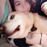 Interested In a House Sitter Job in Pioneer, California