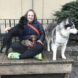 Upscale dog walking and pet sitting in Lower Manhattan and Brooklyn!