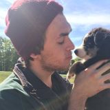 Polite Dog Sitting Professional in Ypsilanti, Michigan