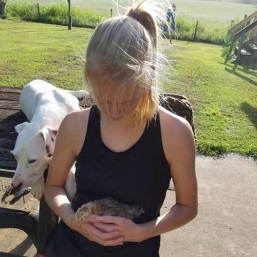 Pet Care Provider Caille B's Profile Picture