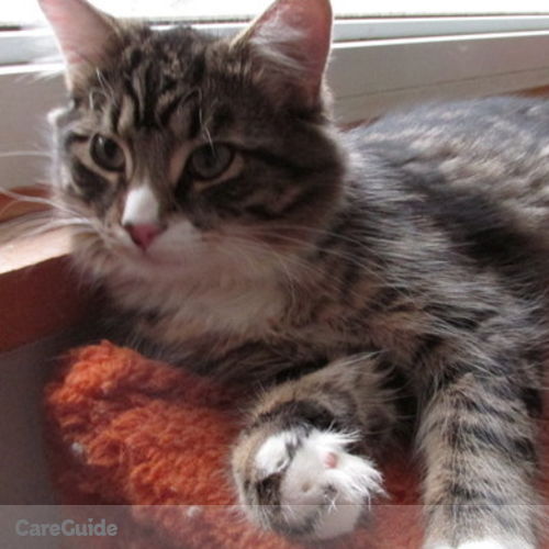 Pet Care Job Patricia B's Profile Picture