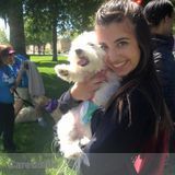 Dog Lover Available!