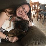 Responsible, Dependable, Caring... look no further I think you just found your pet sitter!