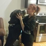 Available For Westminster Pet Supervisor, Colorado Jobs