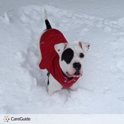 Pet Care Job Meghan Esslinger's Profile Picture