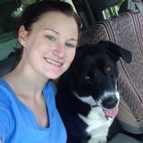 Animal lover available for pet sitting!