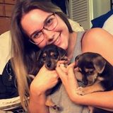Friendly and energetic animal lover looking to help with your furry friends!