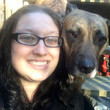 Douglasville Animal Lover Looking For Job Opportunities