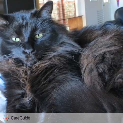 Pet Care Job Mary Braem F's Profile Picture