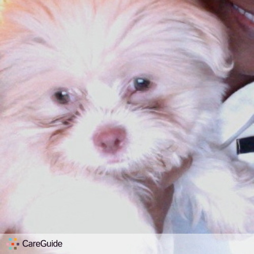 Pet Care Provider Clara Smith's Profile Picture