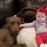 Loving and Reliable Pet Sitter