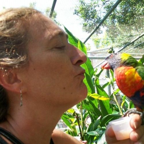Pet Care Job Sylvie Horgan's Profile Picture