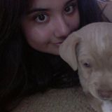 Dog-Sitter To The Rescue! :)