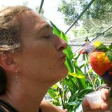 Pet sitting wanted in Pensacola