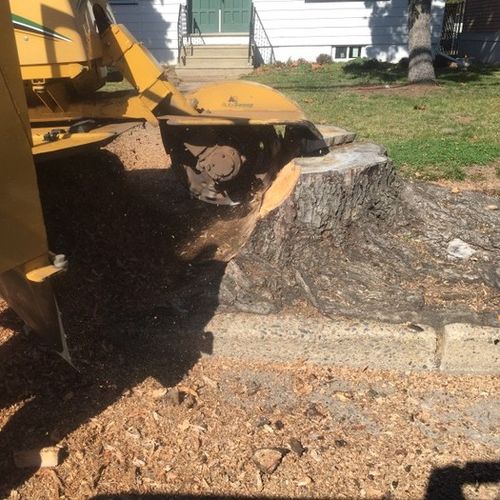 Landscaper Provider John C's Profile Picture