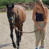 For Hire: Professional Pet Sitting Professional in St. Catharines, Ontario