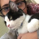 Happy animal lover