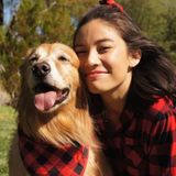 Seeking Jobs in Henderson for Pet Care including Dog Walking, Feeding, and Pet Sitting.