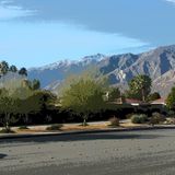 Seasoned Pet Sitter. Services offered in Palm Desert, Pam Springs and desert communities. Short and long term sitting.
