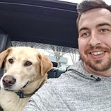 Peoria Pet Sitting Professional Available For Being Hired in Central Illinois