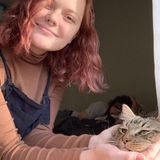 Qualified Pet Sitter for Hire