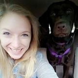 Corning Pet Supervisor Seeking Work