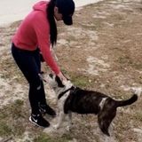 Experience and Enthusiasm - Let Me Love Your Pets